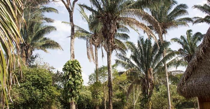 Savanna Orinoquia Lodge Orocue Exterior photo